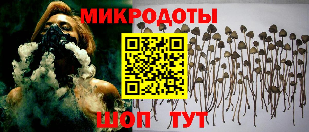 Галлюциногенные грибы Cubensis Вязьма