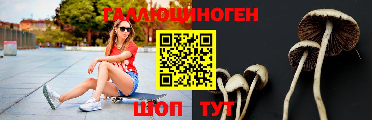 Галлюциногенные грибы Cubensis  Вход с VPN  Вязьма 